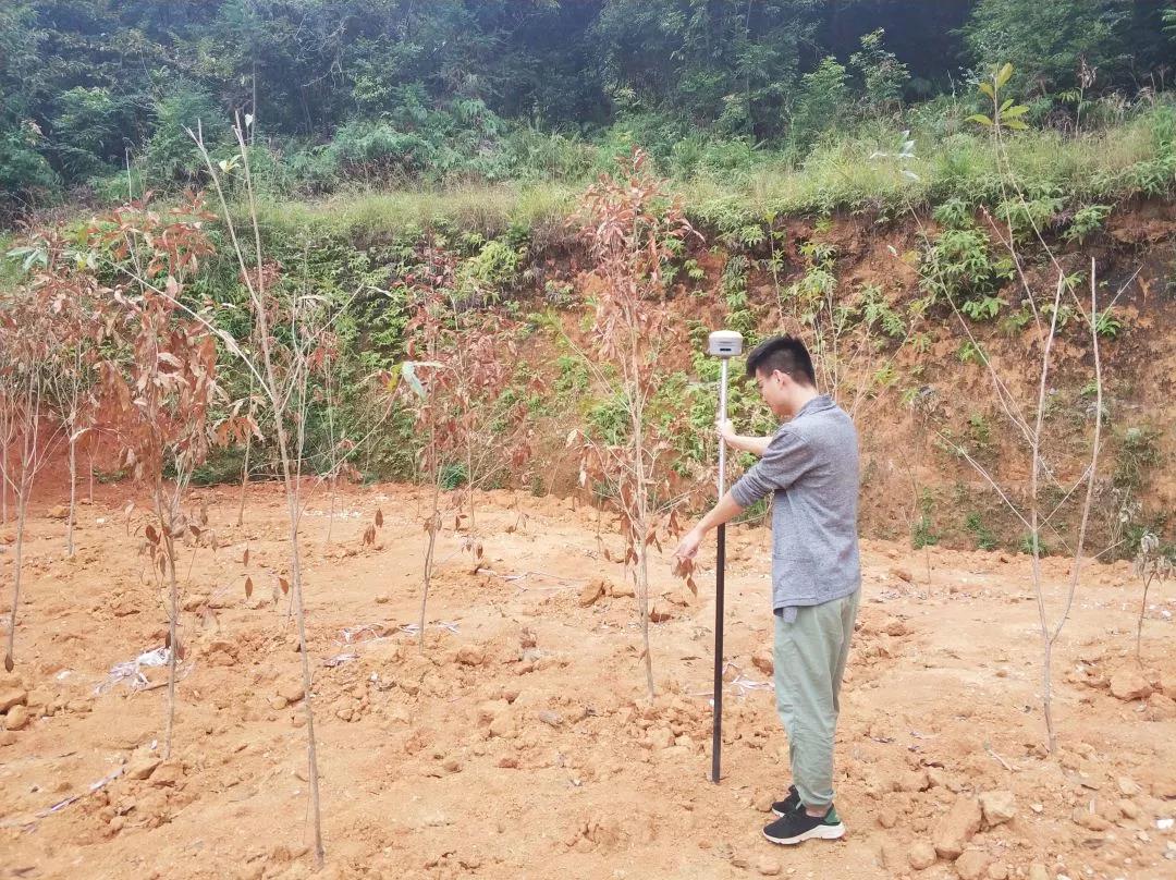 地皮规划部项目纪实丨bifa必发集团人，助力荒地变桑田！