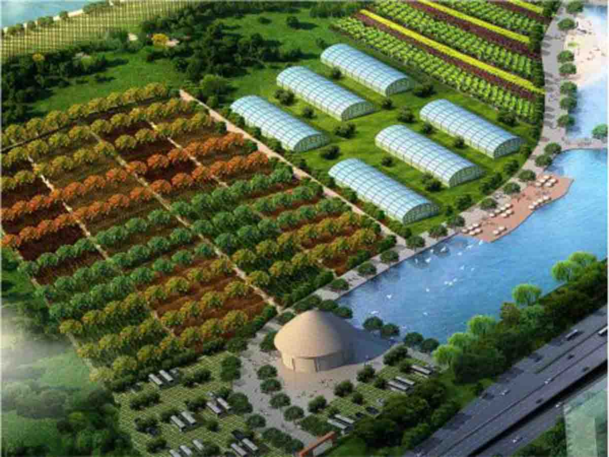 现代农业园建设服务