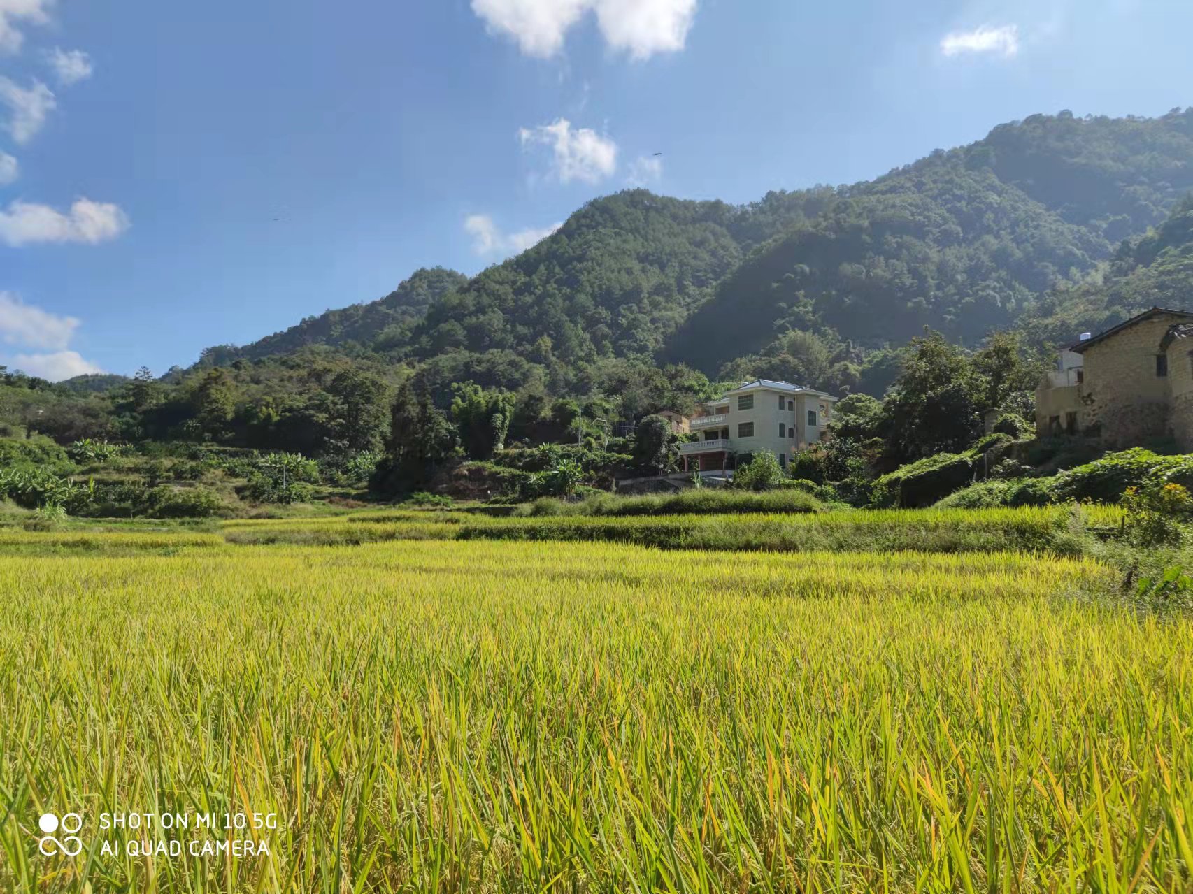 复原（补充）耕地项目怎么干？bifa必发集团有话说