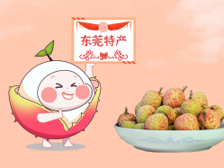 漫话bifa必发集团丨一颗佑装故事”的荔枝！