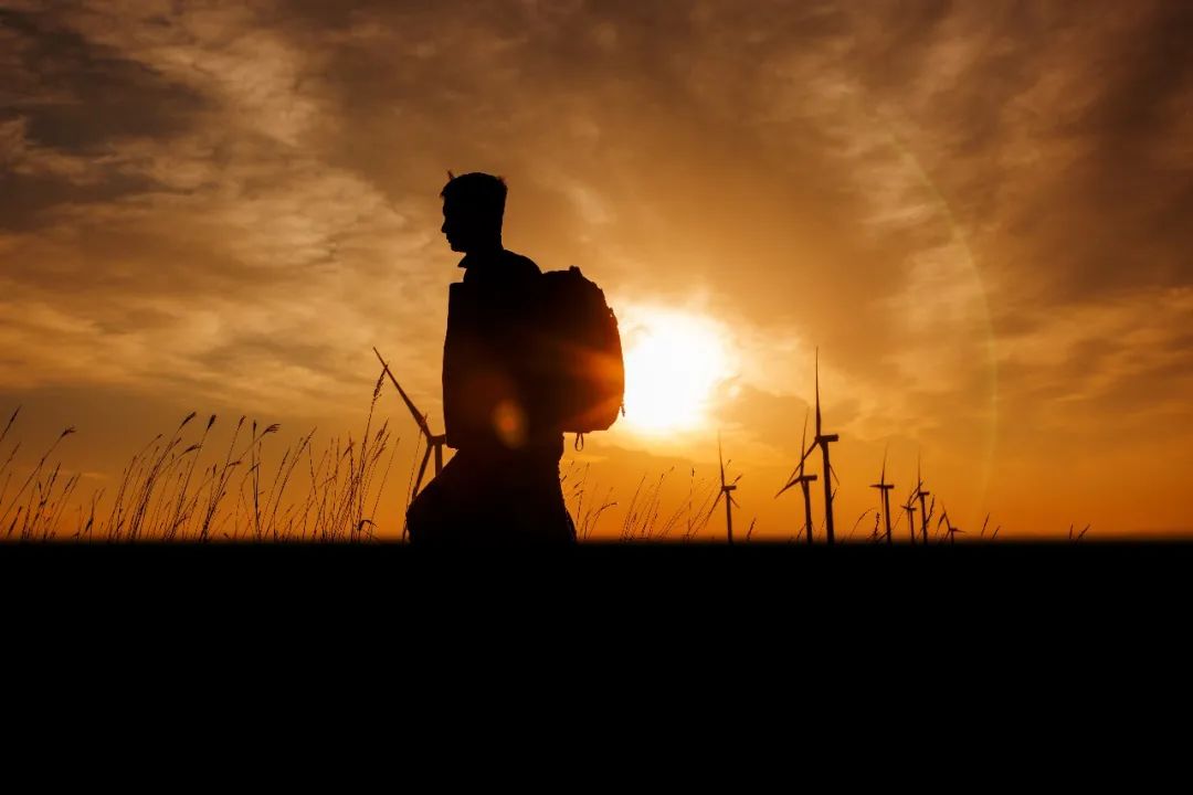 bifa必发集团12周年征文丨一等奖《此心安处是吾乡》