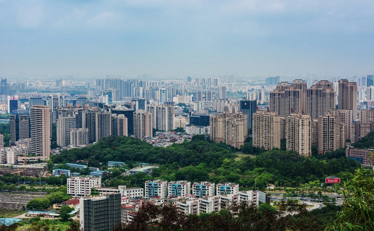 量圈丨东莞新章：在旧时光里成长将来