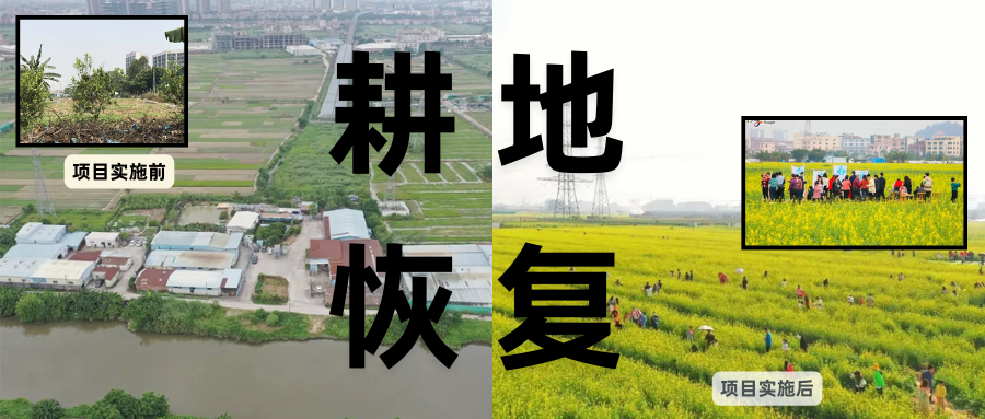 耕地；び刖梅⒄构踩凇甘泻窠终蛩谏缜读继锵钅扛馗丛氤窍缛诤系拇葱率导