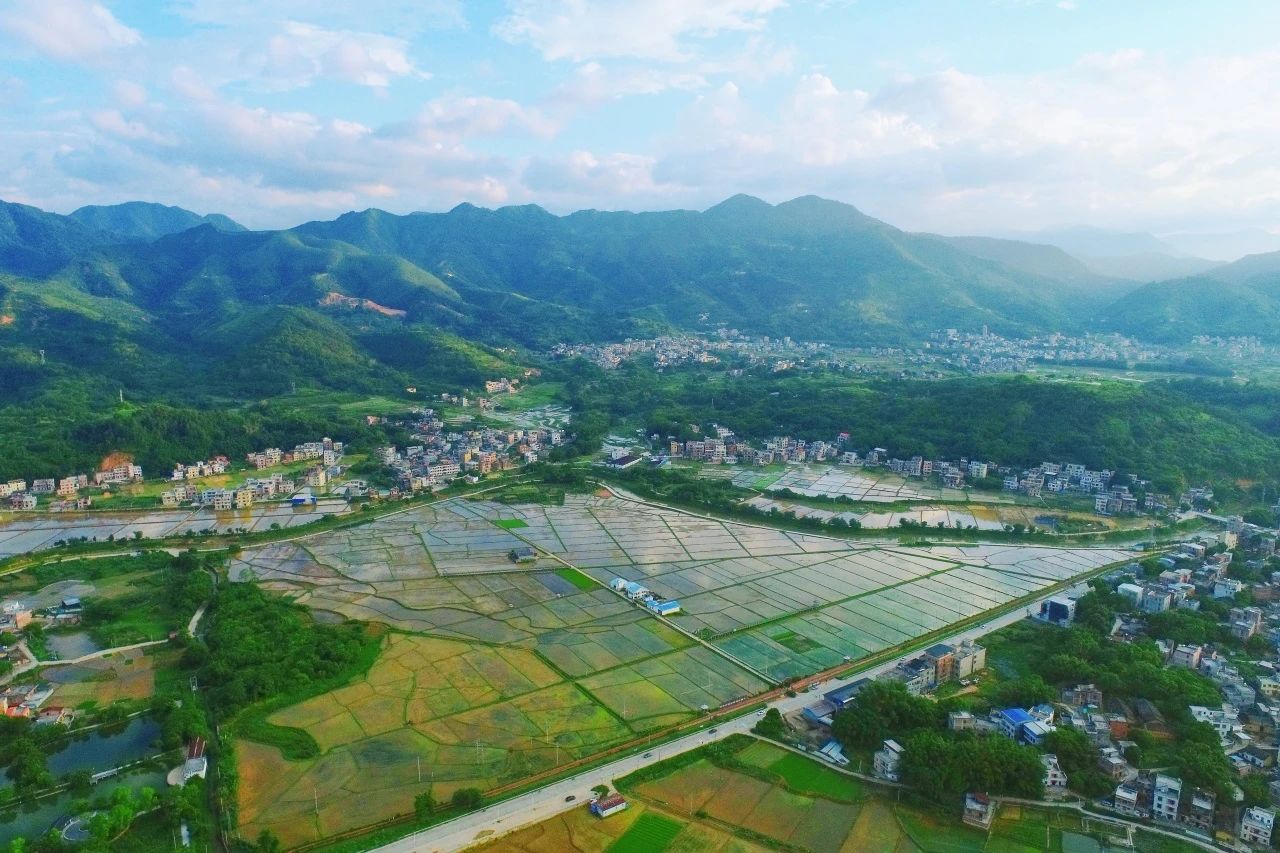 bifa必发集团集团丨“百千万工程”显实效：云浮罗定泗纶镇以全域地皮综合整治为抓手，绘就村落振兴新画卷