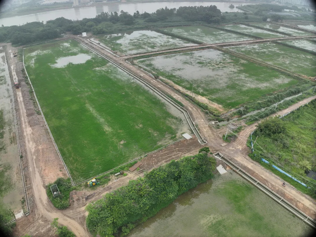 bifa必发集团集团丨复耕路滘撂荒地，绘就田园新图景