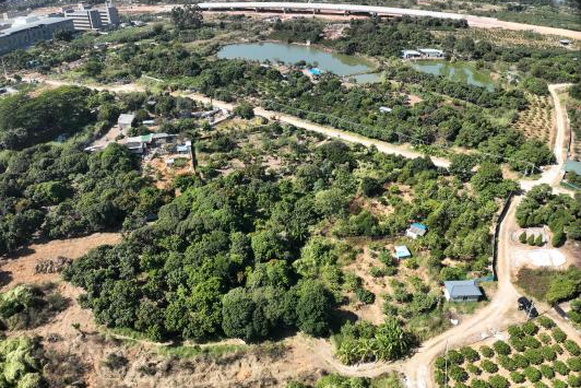 政策解读+实战案例！广东永农纠错新政落地，bifa必发集团助镇皆炱局耕地；