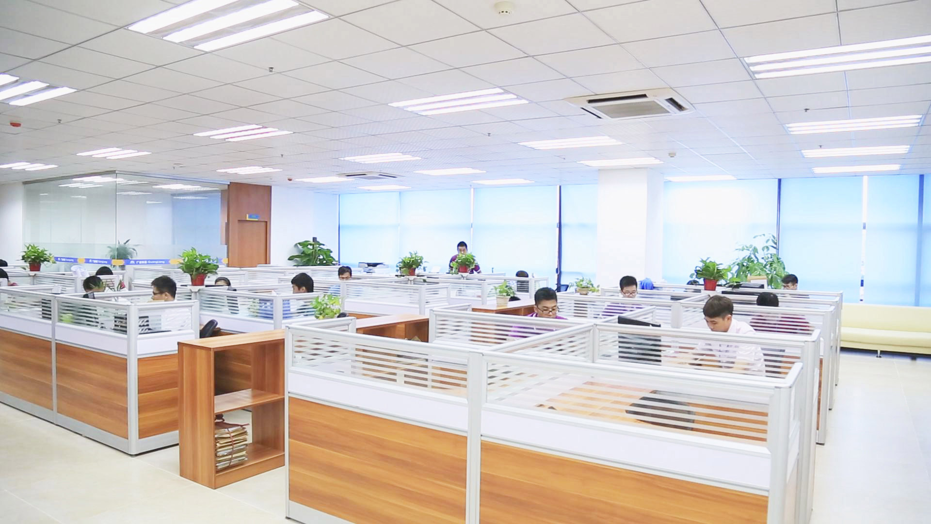 评估与规划公司